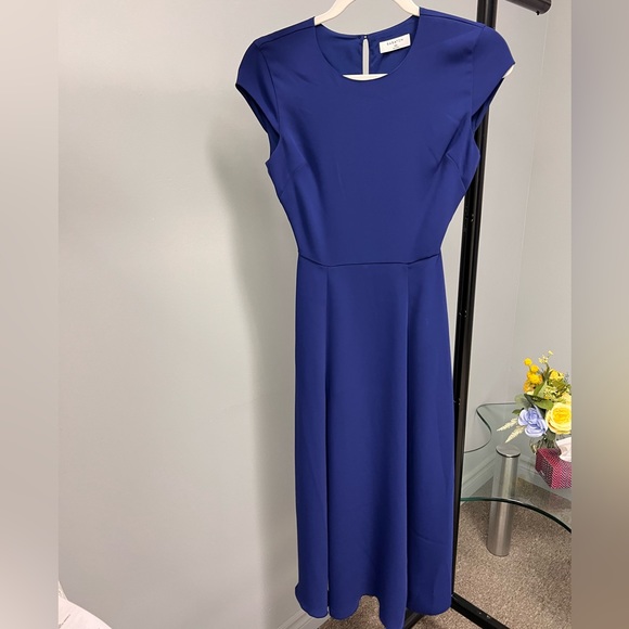 BLUE Babaton Hampton dress - Picture 5 of 5